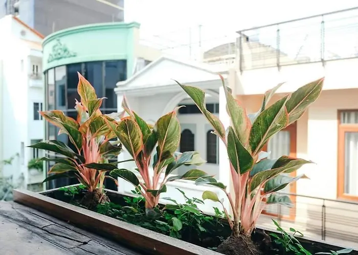 Urban Saigon Stays Near Embassy